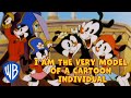 Animaniacs SING-ALONG 🎤 | I Am the Very Model of a Cartoon Individual | WB Kids
