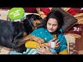 my dog protecting my wife | emotional dog video | the rott