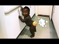 Funny Baby Videos Compilation - The Ultimate Try Not To Laugh Challenge