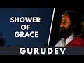 Shower of Grace | A Guided Meditation with Gurudev Sri Sri Ravi Shankar