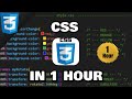 Learn CSS in 1 hour 🎨