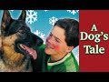 A Dog's Tale (2000) | Full Movie | Anne Lockhart | Casey the Dog | Christopher Robin Miller