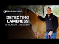 Detecting Lameness in Your Horse