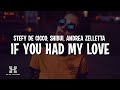 Stefy De Cicco x Shibui x Andrea Zelletta - If You Had My Love (Lyrics)