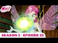 Winx Club | FULL EPISODE | The Wizards' Challenge | Season 3 Episode 23