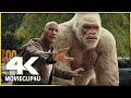 Rampage (2018) - Giant Gorilla Attack Scene | MᴏᴠɪᴇCʟɪᴘ4ᴜ -〚HD〛