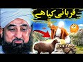 Peer Saqib Raza Mustafai New Full Bayan | Qurbani Ka Bayan Saqib Raza Mustafai 🐫