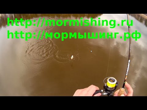 техника ловли спиннингом на мормышку техника ловли спиннингом на мормышку