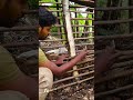 பாரம்பரிய மண் வீடு கட்டுவது எப்படி? || How to build traditional mud house🌿❤️