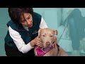 Download Pets See A Pet Psychic mp4 3gp mp3 videos - waplic