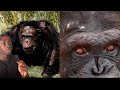 The Terrifying Truth About Chimps
