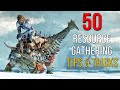 50 Resource Gathering Tips & Tricks You NEED To Know In ARK: Survival Ascended!