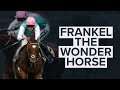 The World's Greatest Horse! | Frankel, The Wonder Horse | 7 Amazing Wins Including The Queen Anne