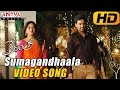 Sumagandhaala Video Song - Kerintha Video Songs - Sumanth Aswin, Sri Divya - Aditya Movies