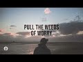 Pull the Weeds of Worry | Audio Reading | Our Daily Bread Devotional | April 27, 2024