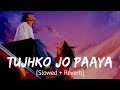 Tujhko jo paaya [Slowed + Reverb] Nikhil Dsouza | Bollywood hindi lofi song