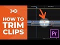 How to Use the Trim Tool | Adobe Premiere Pro Tutorial