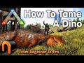 Ark HOW TO TAME A DINOSAUR Everything You Need To Know To Start Taming In 2020 #ARK