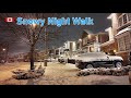 Night Snow Walk ❄️ Toronto Suburbs 4K Relaxing Winter Ambience Snowfall walking video