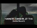 HUMMEIN TUMMEIN JO THA (Slowed+Reverb) | PALAK MUCHHAL,PAPON