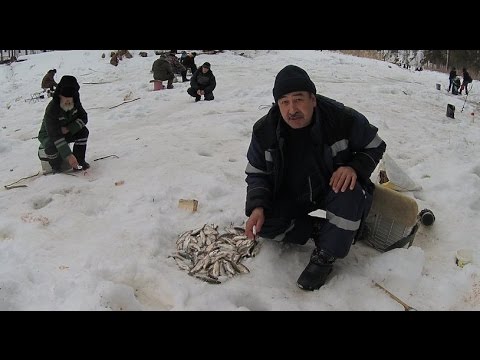 рыбалка в усть илимске 2017 рыбалка в усть илимске 2017
