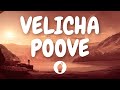 | Velicha Poove ( Lyric Video ) | Ethir Neechal | Butter Skotch |