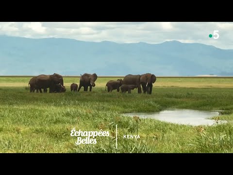 Kenya un rêve de safari Échappées belles