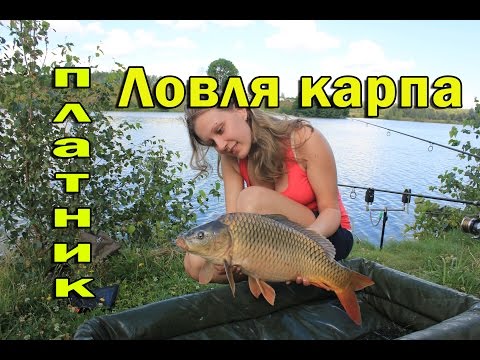 карпфишинг секреты ловли карпа бойлы карпфишинг секреты ловли карпа бойлы