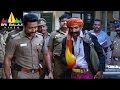 Singam (Yamudu 2) Telugu Full Movie Part 11/14 | Suriya, Hansika, Anushka | Sri Balaji Video