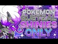 Pokemon Quetzal But I Can Only Use SHINIES! (Rom Hack)