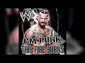 WWE: This Fire Burns (CM Punk) + AE (Arena Effect) [Re-upload]