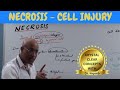 Necrosis | Cell Injury | General Pathology 🩺