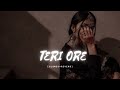 Teri Ore | Singh Is Kinng  [SLOWED+REVERB]