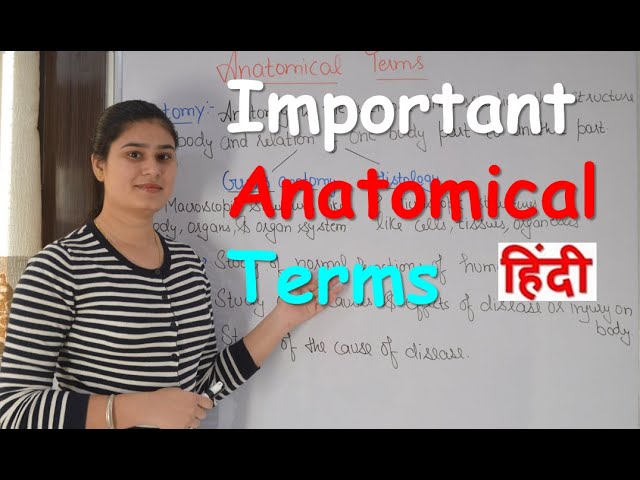 Important Anatomical Terms in Hindi | Common Anatomical Terms | Anatomical Terms for Beginners Important Anatomical Terms in Hindi | Common Anatomical Terms | Anatomical Terms for Beginners