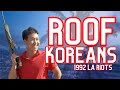 How Roof Koreans Took Back Los Angeles... (ft. donut operator)