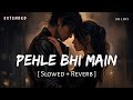 Pehle Bhi Main Extended Film Version (Slowed + Reverb) | Vishal Mishra | Animal | SR Lofi