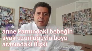 Anne karnındaki bebeğin ayak uzunluğundan boyu nasıl hesaplanır? - Dr. Kağan Kocatepe