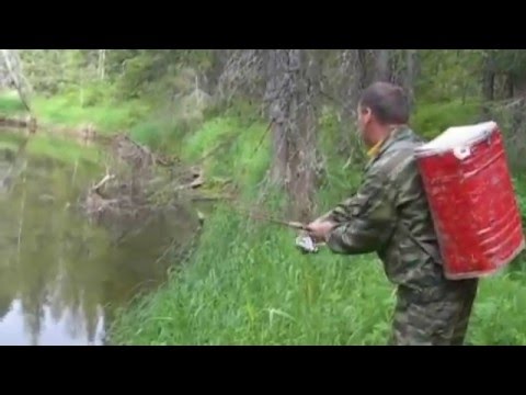 ловля хариуса на малых реках ленка ловля хариуса на малых реках ленка