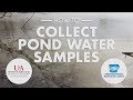 How to Collect Pond Water Samples - Arkansas Water Resources Center