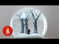 Surreal Worlds Captured in a Snow Globe | That's Amazing