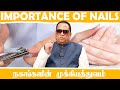 நகங்களின் முக்கியத்துவம் /  Importance of Nails / Dr.C.K.Nandagopalan
