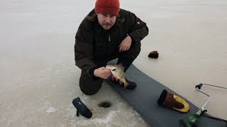 ahvenen pilkintä video ahvenen pilkintä video