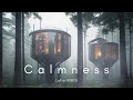 Calmness 🌱🌳 - Meditative Relaxation Music - Beautiful Ambient Music for Study, Relaxation and Sleep