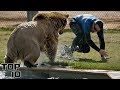 Top 10 Horrifying Zoo Accidents Caught On Camera