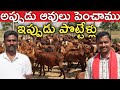 200 గొర్రెలు, పొట్టేళ్లు పెంచుతున్నం | Sheep Farming Telugu