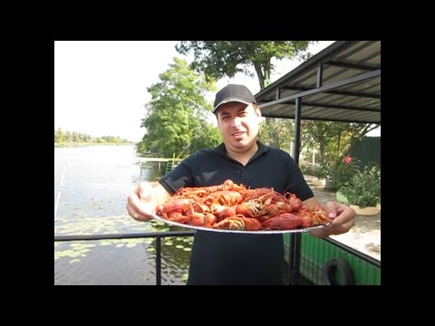 когда разрешена ловля раков в самаре когда разрешена ловля раков в самаре