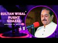 Tapase Khu Mre Sary | Sultan Wisal | New Ghazal | Afghan Tv Music | 2023
