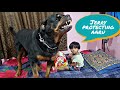 Dog protecting baby | Rottweiler dog puppy | funny dog videos |