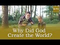 Fr. Mark Miller, CSsR - Why Did God Create the World?