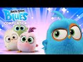 Angry Birds Blues | Ep. 21 to 25